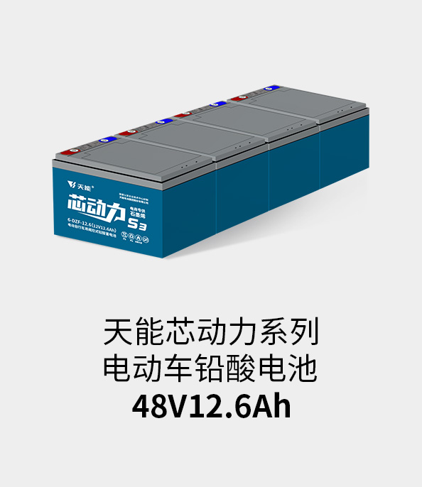 摩斯国际电池48v12ah