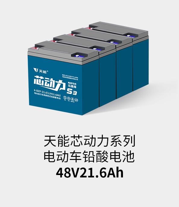 摩斯国际电池48v20ah