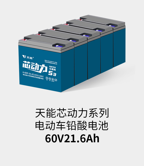 摩斯国际电池60v20ah