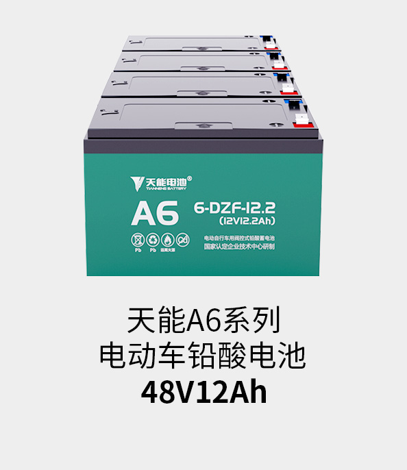 摩斯国际电池48v12ah