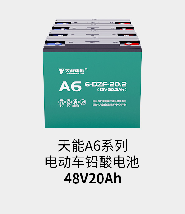 摩斯国际电池48v20ah