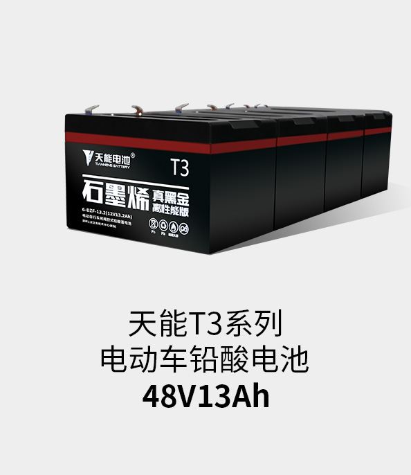 摩斯国际T3系列48v13ah