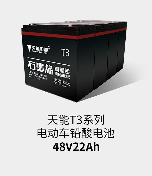 摩斯国际T3系列48v22ah