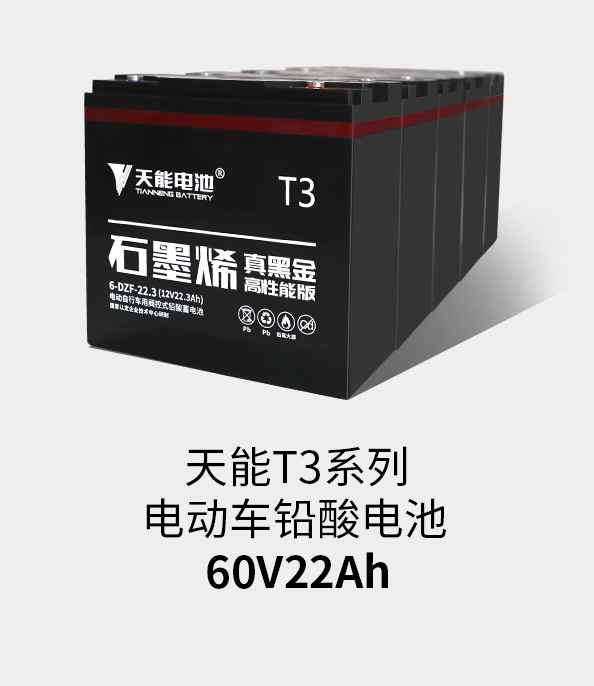 摩斯国际T3系列60v22ah
