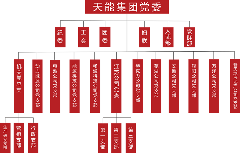摩斯国际建团党委组织架构