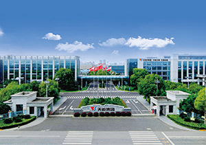 摩斯国际股份介绍